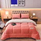 Double-Sided Duvet Quilt Bed Comforter